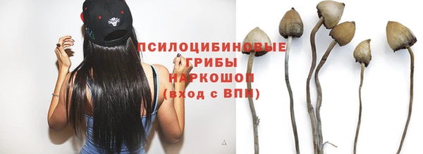 a pvp Аркадак