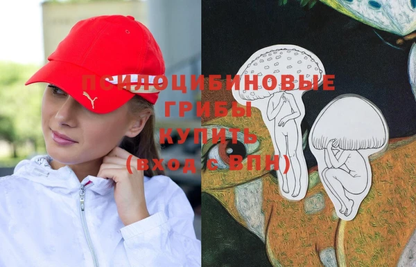 МДМА Алексеевка
