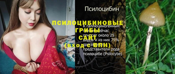 a pvp Аркадак