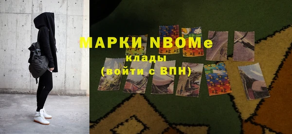 прущий лед Алзамай
