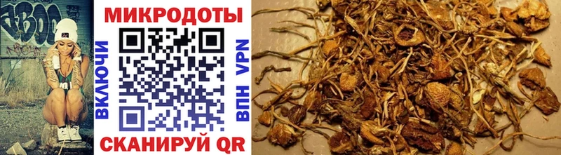 Псилоцибиновые грибы мухоморы  Гдов 